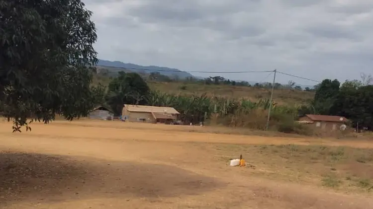 Divulke diami