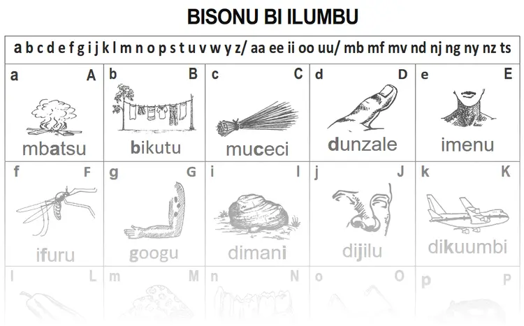 ilumbu alphabet gradient
